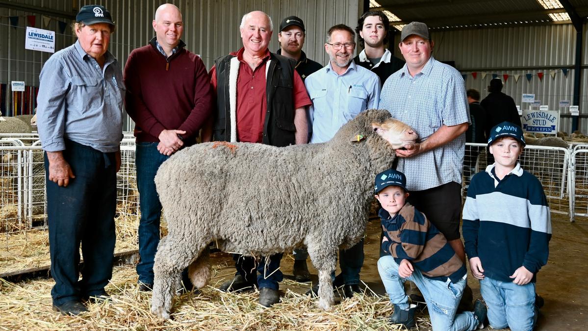 Wickepin’s 2026 Lewisdale Poll Merino ram sale has father-son duo secure 35 per cent of the draft