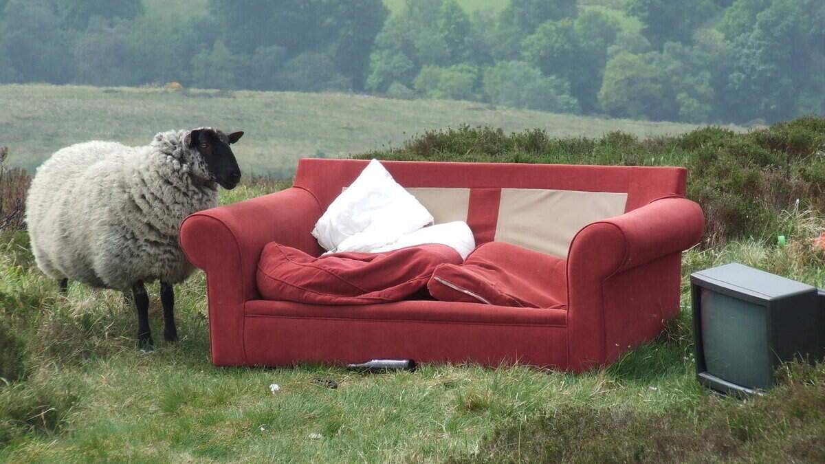 Wicklow/Dublin Uplands project ‘optimistic’ of renewed funding after cutting illegal dumping by more than 70pc