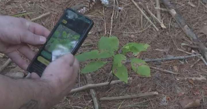 WildQuest app turns wildlife photography into a game for citizen scientists