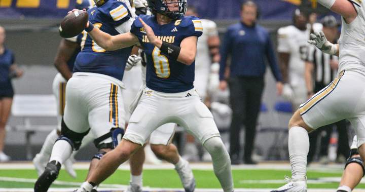 Winnipeg Blue Bombers acquire new QB in another trade with Ottawa RedBlacks