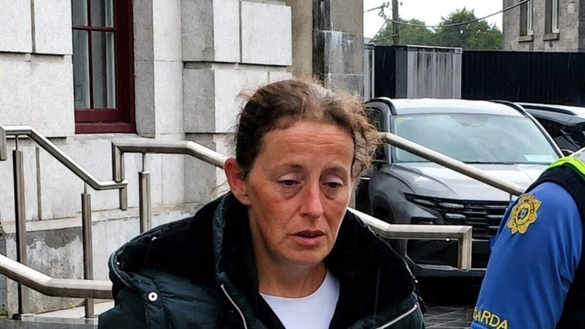 Woman accused of stealing phone from a car during Athlone crime spree tells court she is ‘guilty’