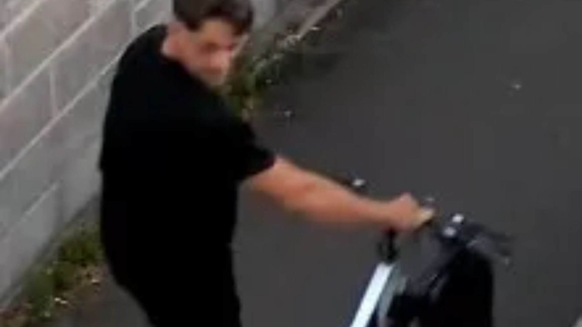 Woman in her 30s ‘sexually assaulted by man riding a bike’ in popular park