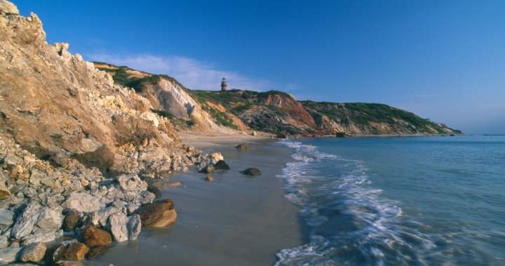 Woman in hospital after ‘potential shark bite’ off Martha’s Vineyard