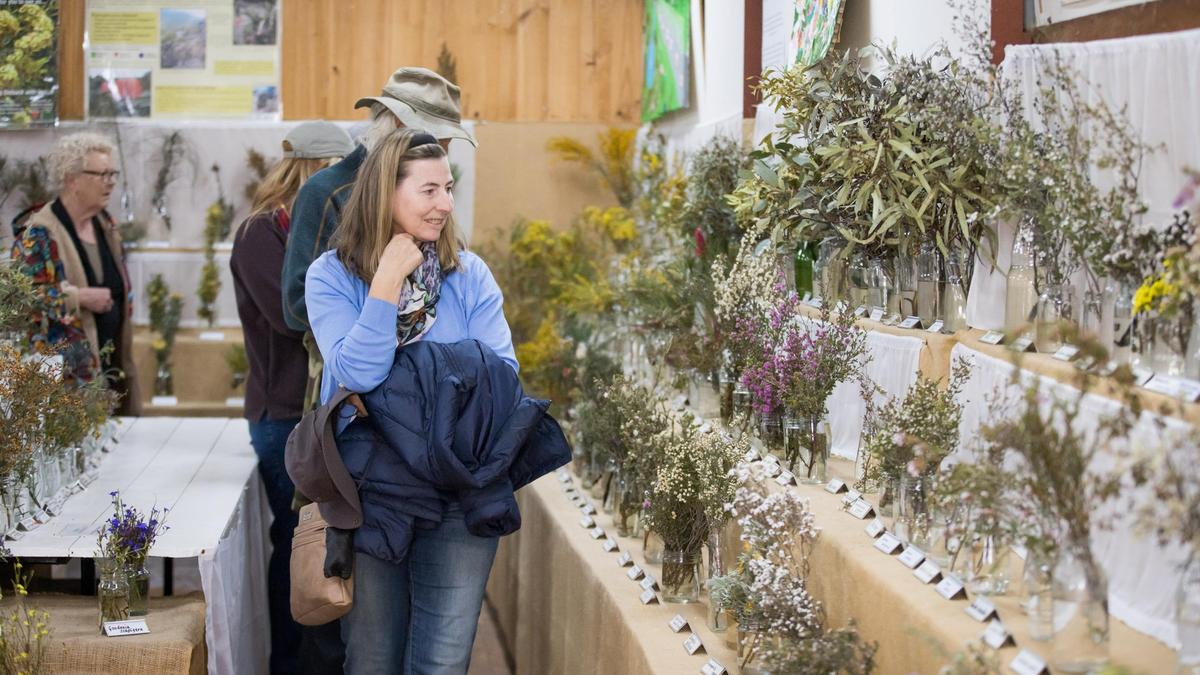 Woody in Bloom marks beginning of annual Bloom Festival with market stalls in Woodanilling on Saturday