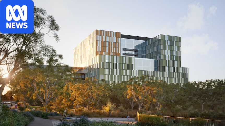 'Wrong decision': New babies' hospital plans slammed by doctors