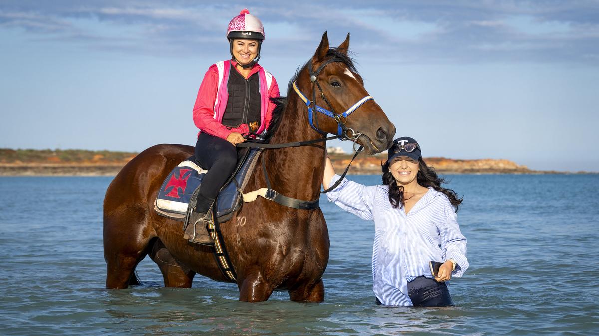 Zadar Rock in line for fitting farewell as he lines up in Saturday’s Carnarvon Cup