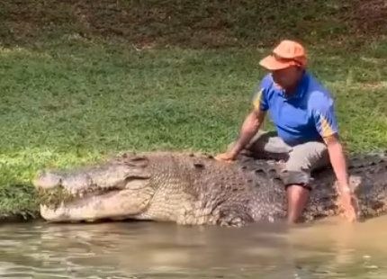 Zoo worker dragged into death roll and killed by crocodile after staff were filmed ‘taunting them’