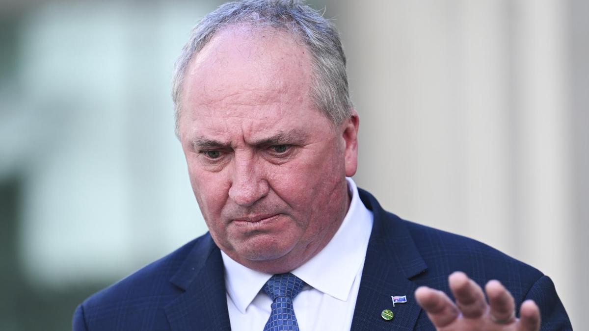 ‘Can’t stand it’: Barnaby Joyce distances One Nation from Germany’s AfD surge
