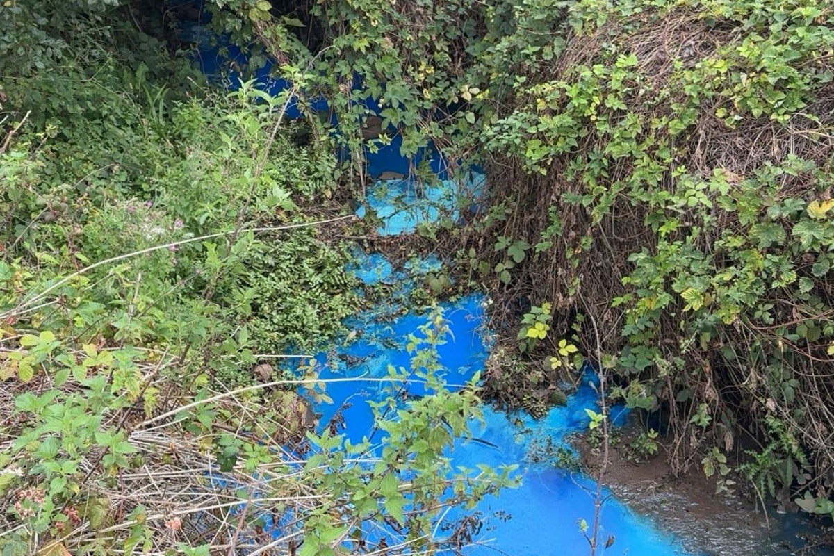 ‘Do not swim’ warning issued after pollutant turns river bright blue