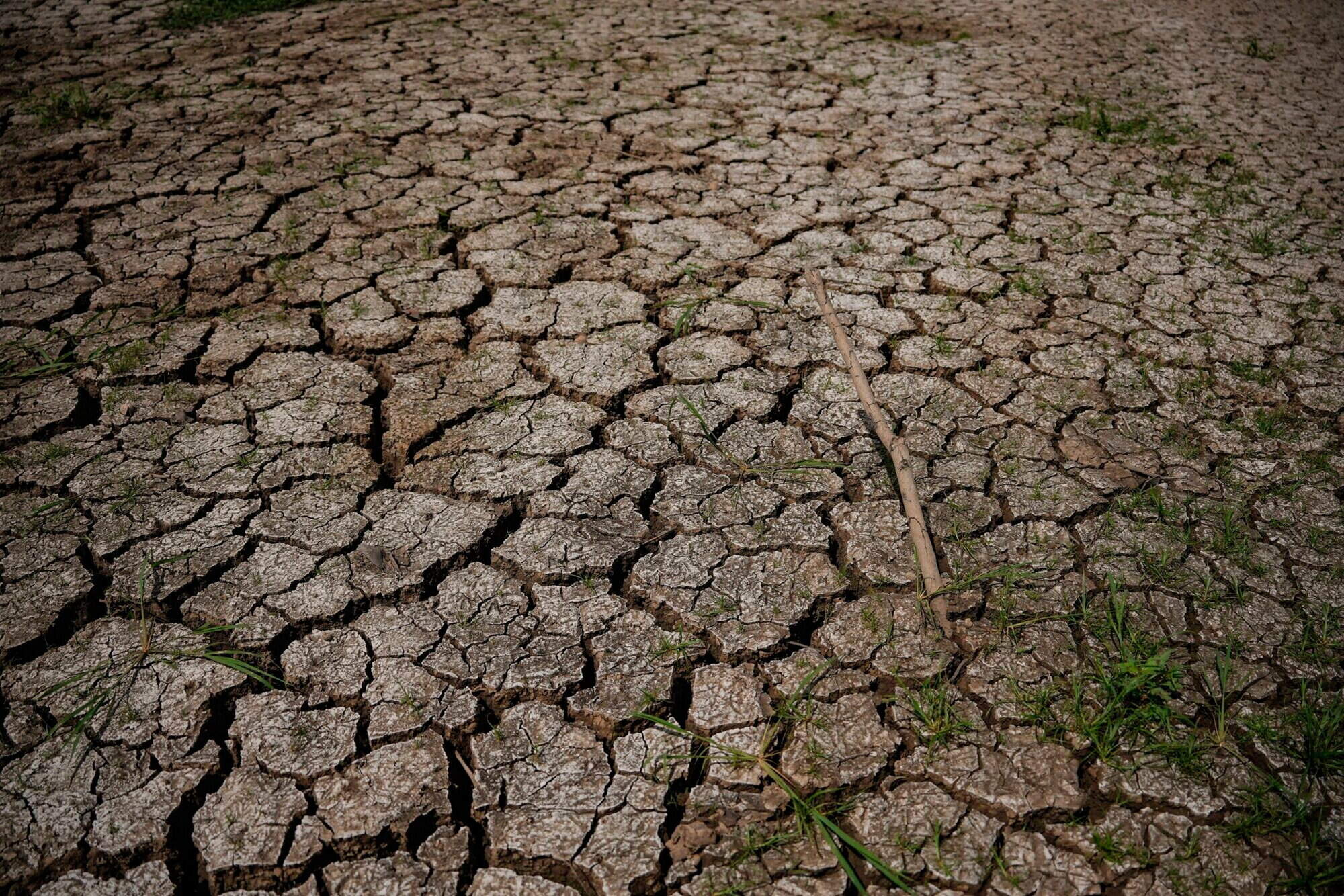 ‘El Niño is being supersized before our eyes’ - UN climate agency warns weather event likely to persist into 2027
