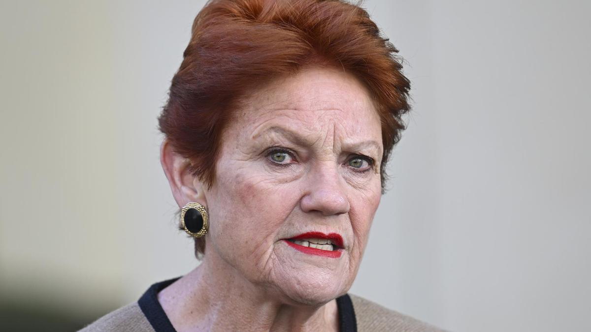 ‘Kill the Australian economy’: Labor slams One Nation’s migration plan