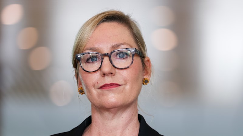 ‘Lots of hugs’: Greens kiss and make up after internal fight