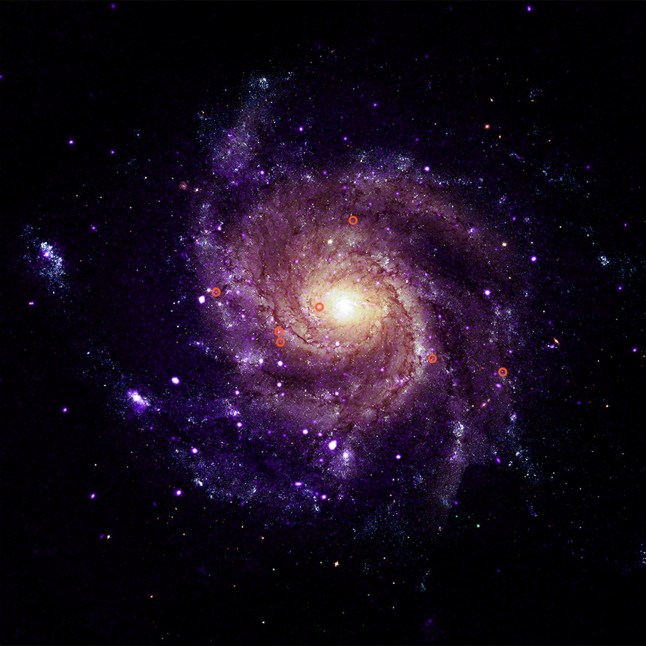 ‘Mysterious objects’ discovered in space – and they’re like nothing scientists have seen