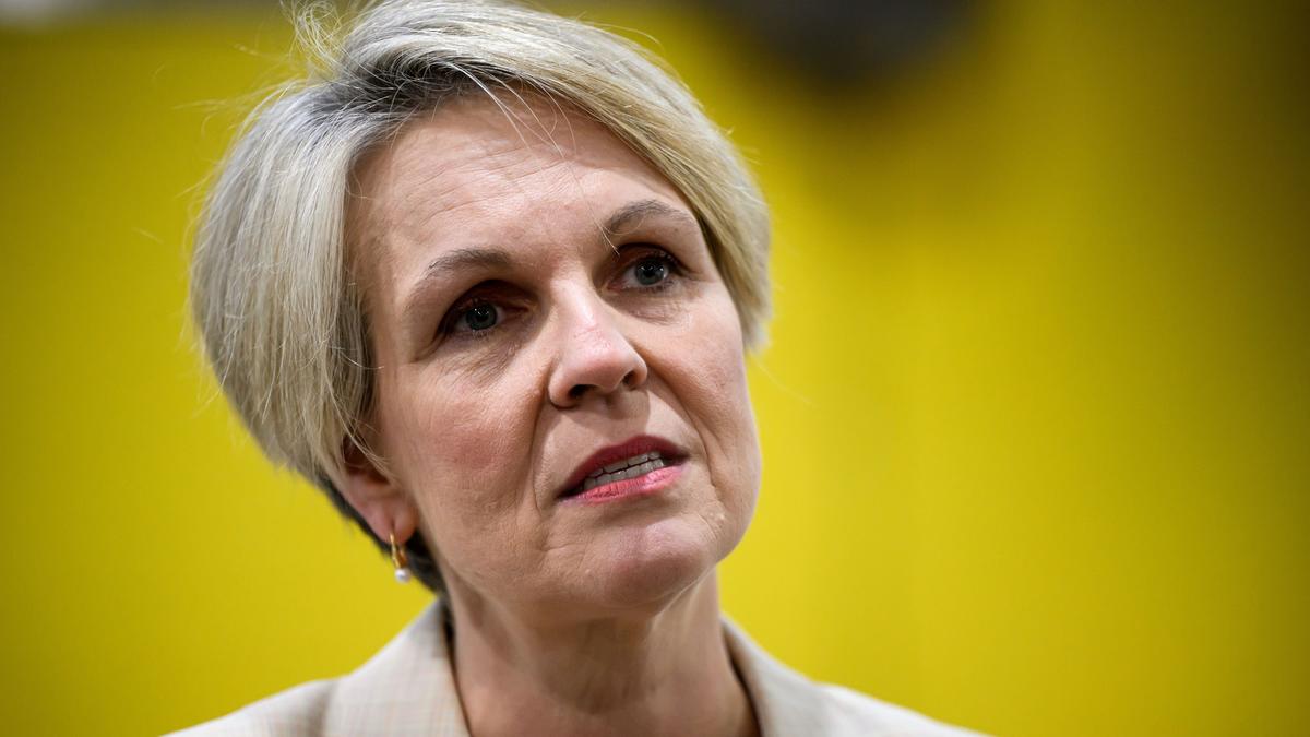 ‘Pervasive’: Plibersek says Australia needs to intervene in ‘manosphere’ and porn influence on young minds