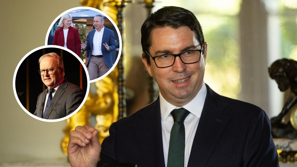 ‘State campaign’: Albanese’s Perth pal Patrick Gorman insists Secret Harbor failure was not the PM’s fault
