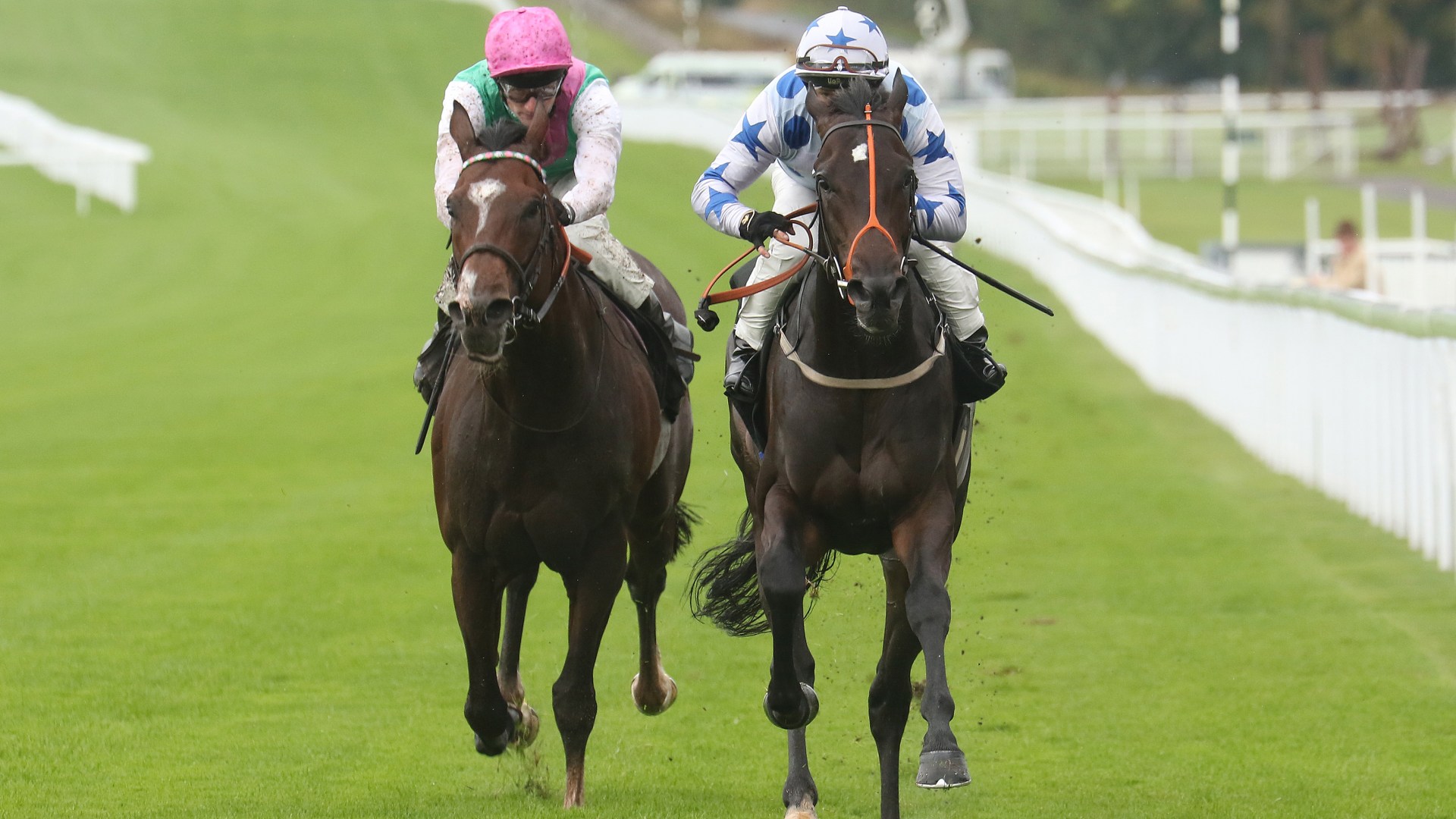 ‘This is a huge, HUGE upset’ – Disbelief as 1-33 Najidi Storm becomes shortest-priced loser in British racing history