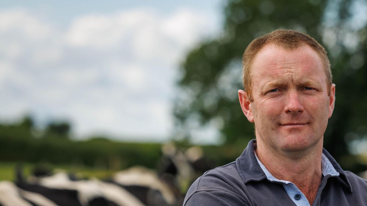 ‘We’re in real trouble for winter’: Drennan warns of fodder crisis after drought