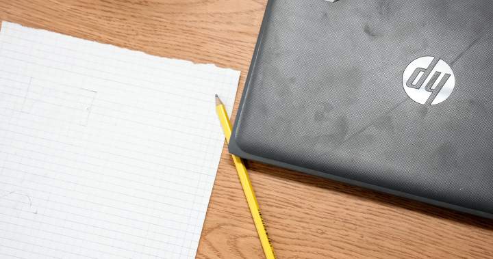 ‘Wild West’: Teachers, experts call for unified policies to address AI in classrooms