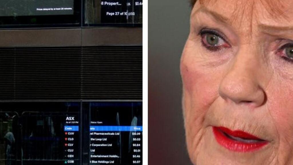 ‘Will of the people’: Pauline Hanson defends migration plan amid economic fears