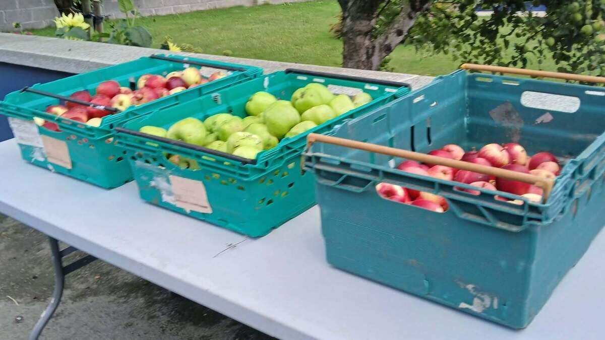 ‘You are so mean’ – Louth woman’s plea after three boxes of free apples disappear